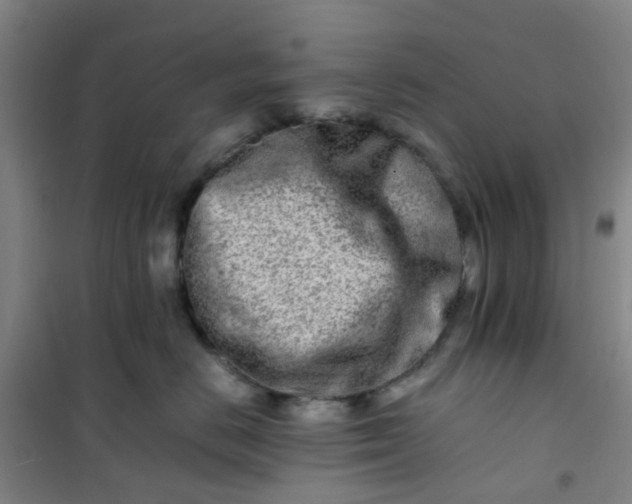 X0000101170670200807111053