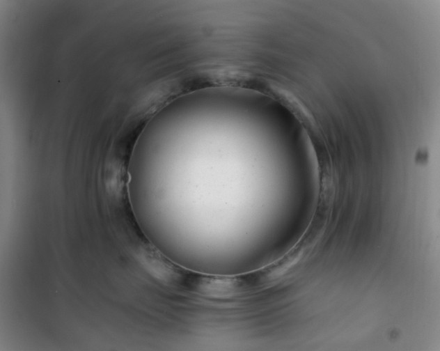 X0000101170671200807111053