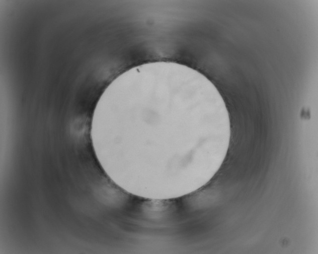 X0000101170672200807111053