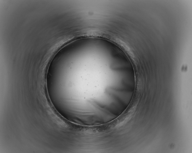 X0000101170673200807111052