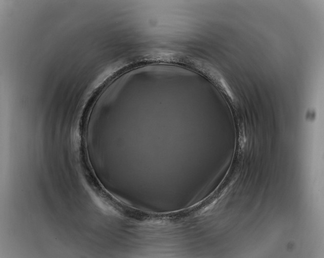 X0000101170674200807111052