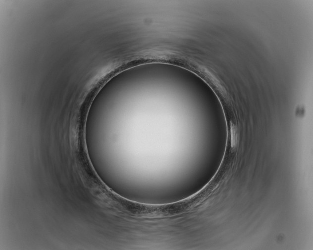 X0000101170675200807111052