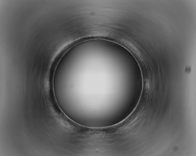 X0000101170676200807111052