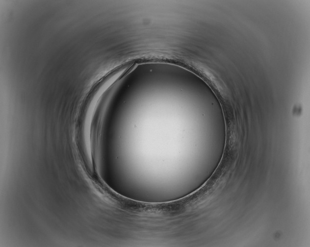 X0000101170677200807111052