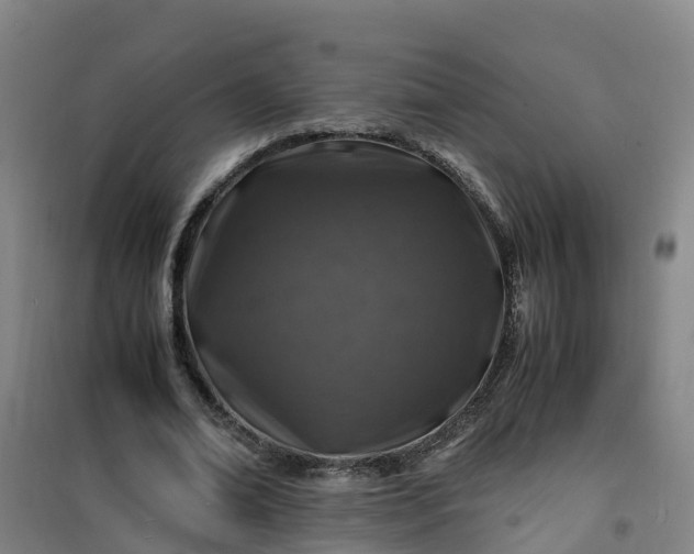 X0000101170678200807111052