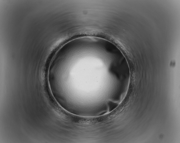 X0000101170679200807111052