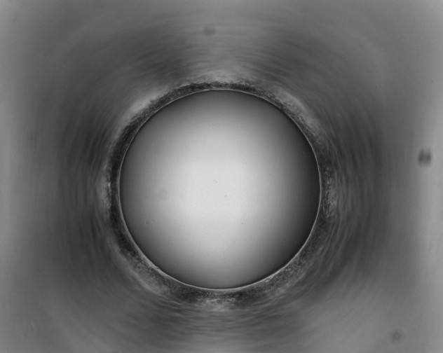X0000101170680200807111052