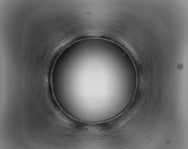 X0000101170681200807111052
