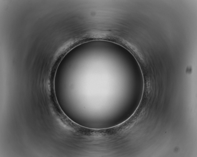 X0000101170682200807111052
