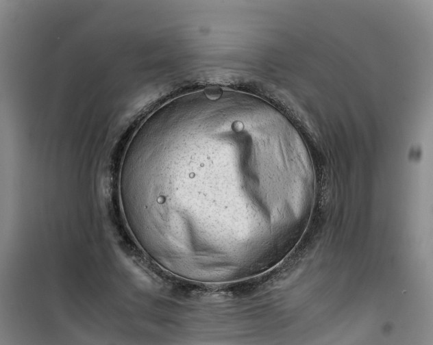 X0000101170683200807111052