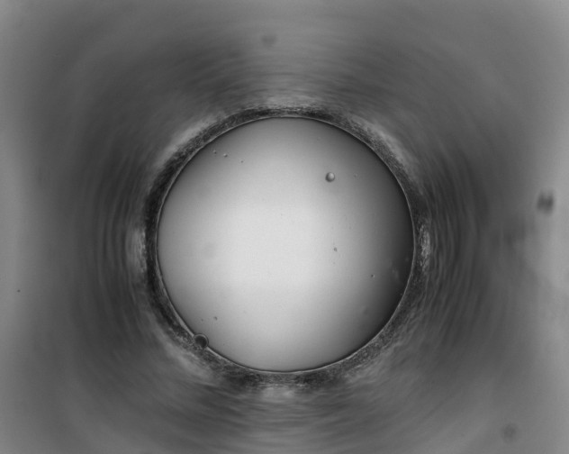 X0000101170684200807111052