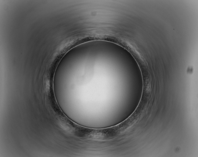 X0000101170685200807111052