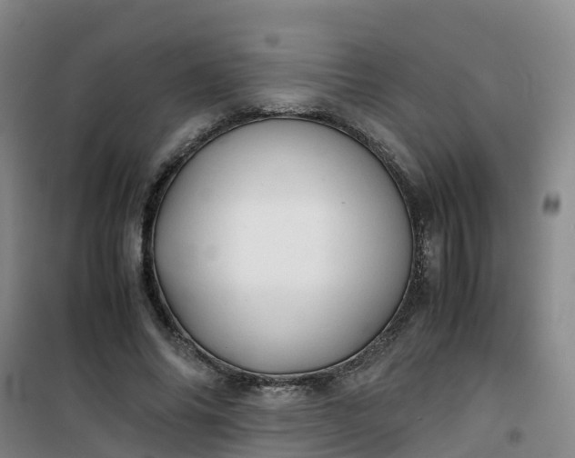 X0000101170686200807111052