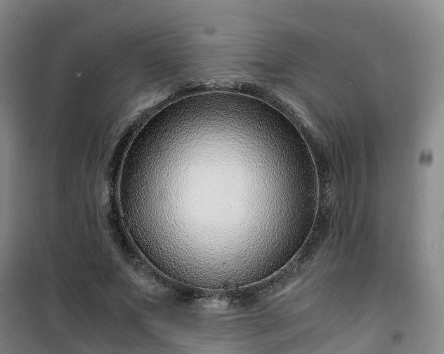 X0000101170687200807111052