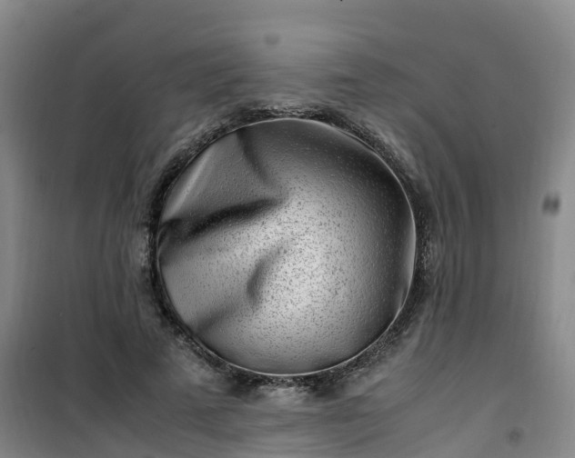X0000101170689200807111052