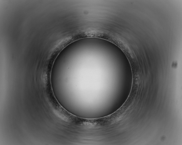 X0000101170690200807111052