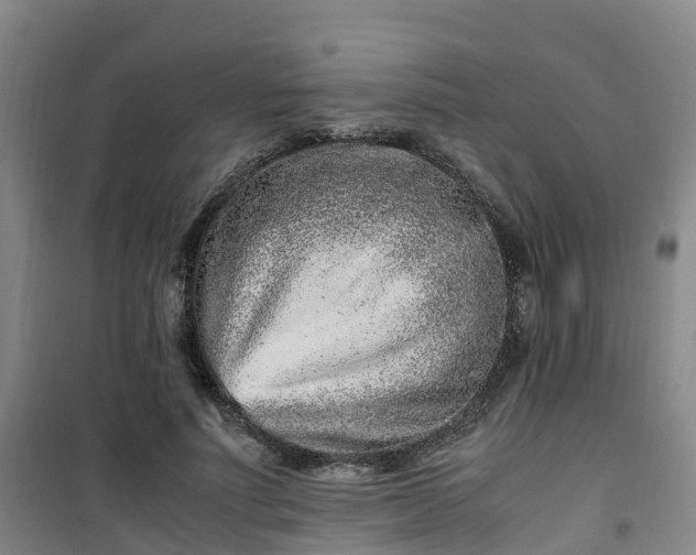 X0000101170691200807111052