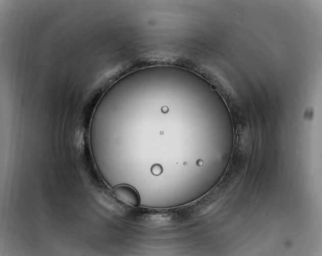 X0000101170692200807111052