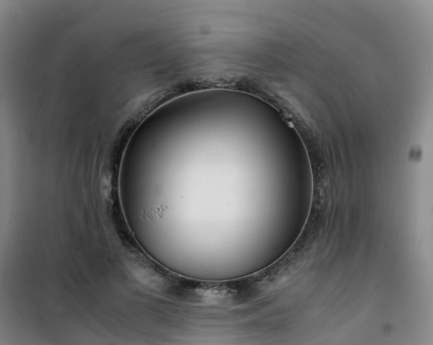 X0000101170693200807111052
