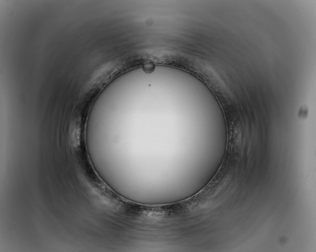 X0000101170694200807111052