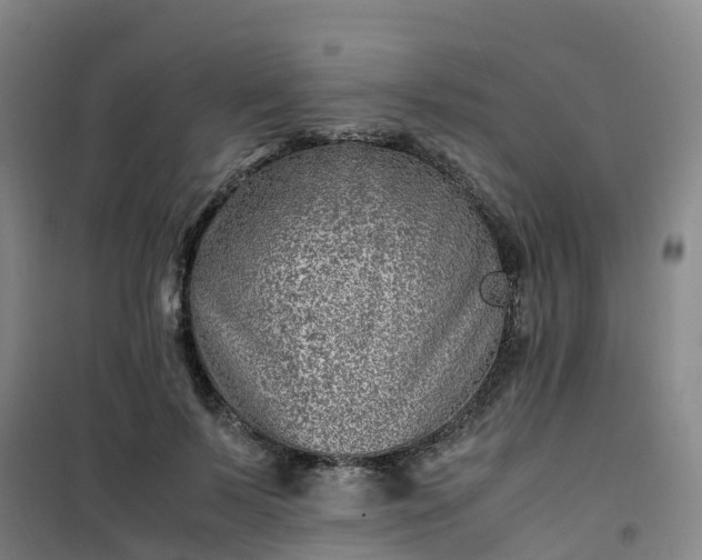 X0000101170695200807111052