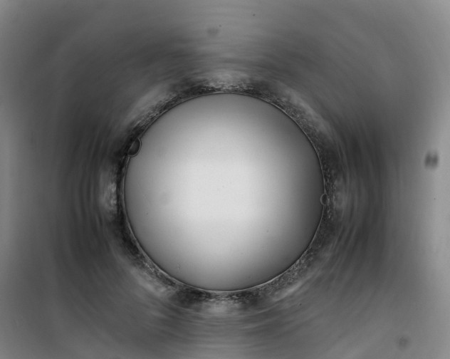 X0000101170696200807111052