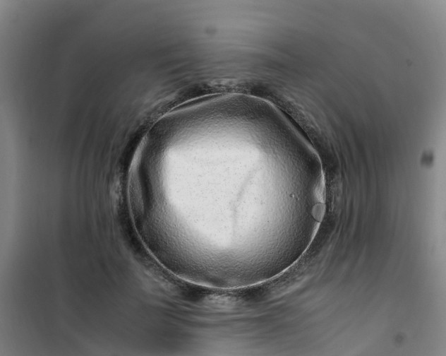 X0000101170699200807111052