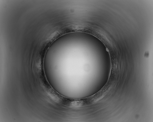 X0000101170700200807111052