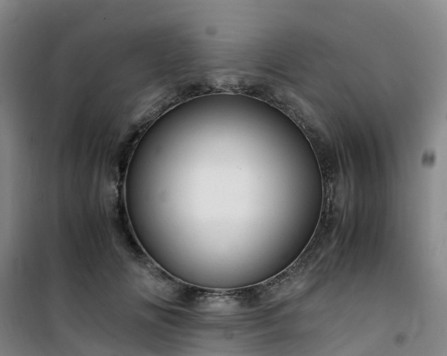 X0000101170702200807111052