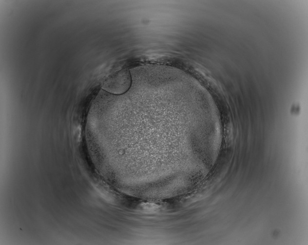 X0000101170703200807111052