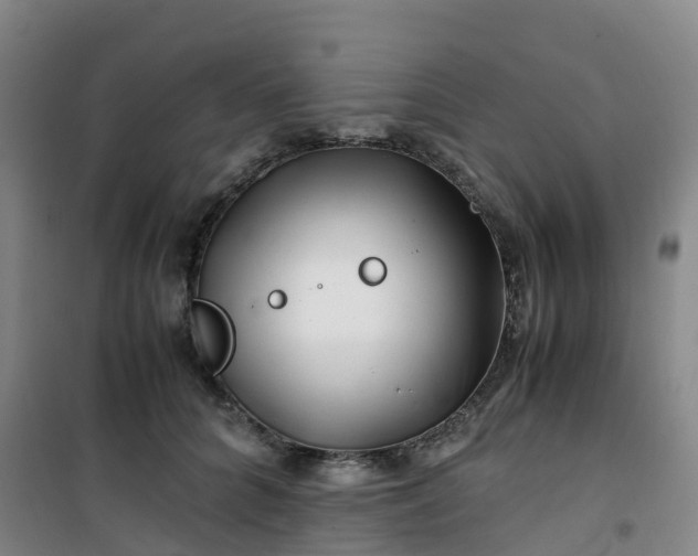 X0000101170704200807111052