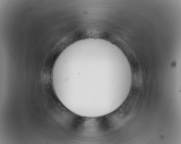 X0000101170705200807111052
