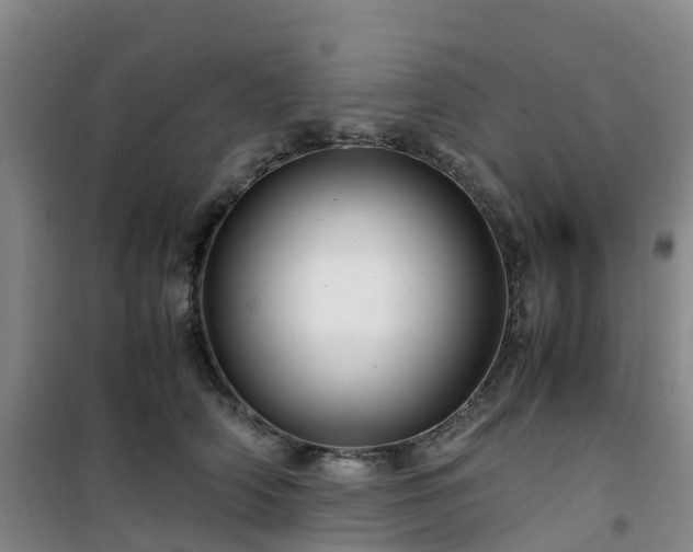 X0000101170706200807111052