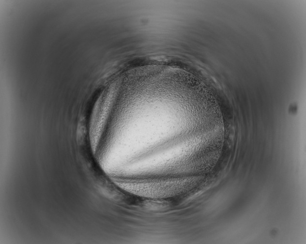 X0000101170707200807111052