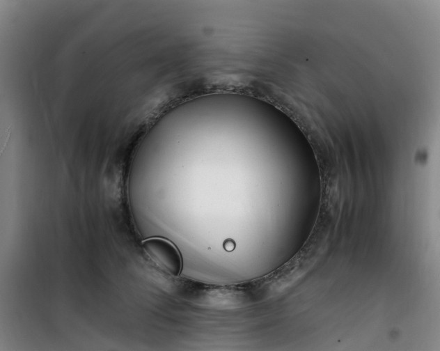 X0000101170708200807111052