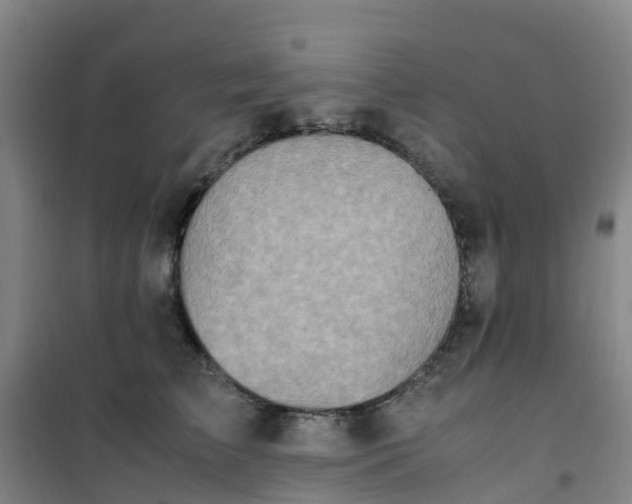 X0000101170709200807111052