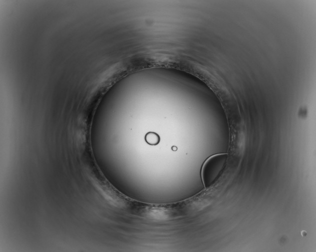 X0000101170710200807111052