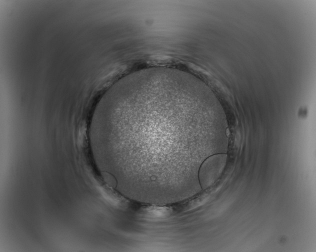 X0000101170711200807111052