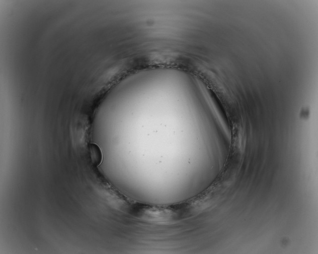 X0000101170712200807111052