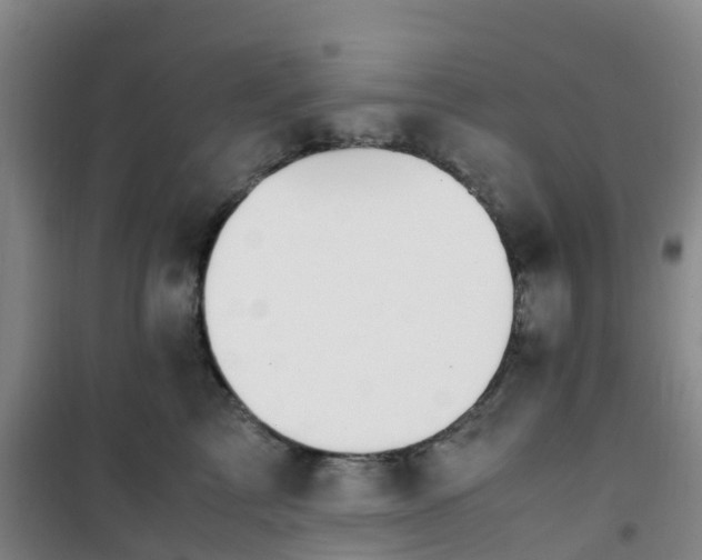 X0000101170713200807111052