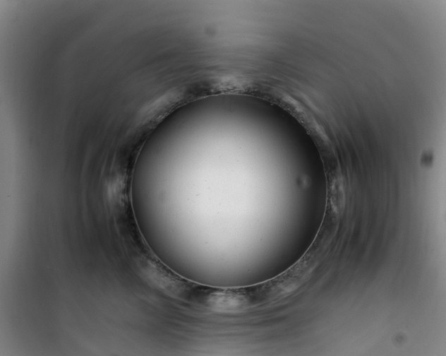 X0000101170714200807111052