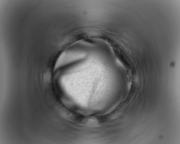 X0000101170715200807111052