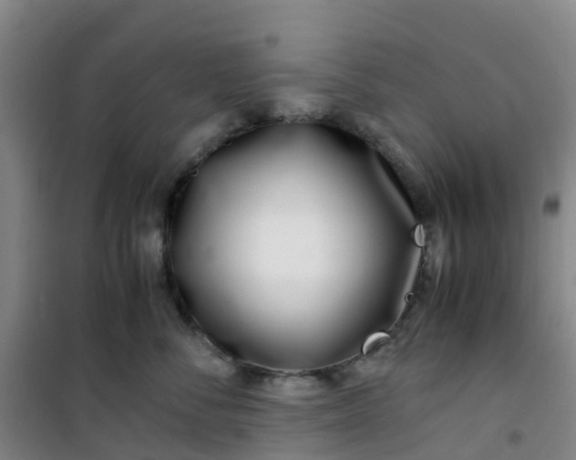 X0000101170716200807111052