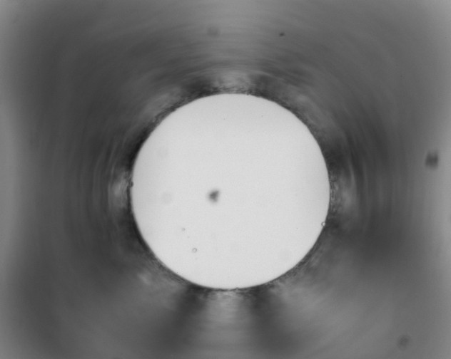X0000101170717200807111052
