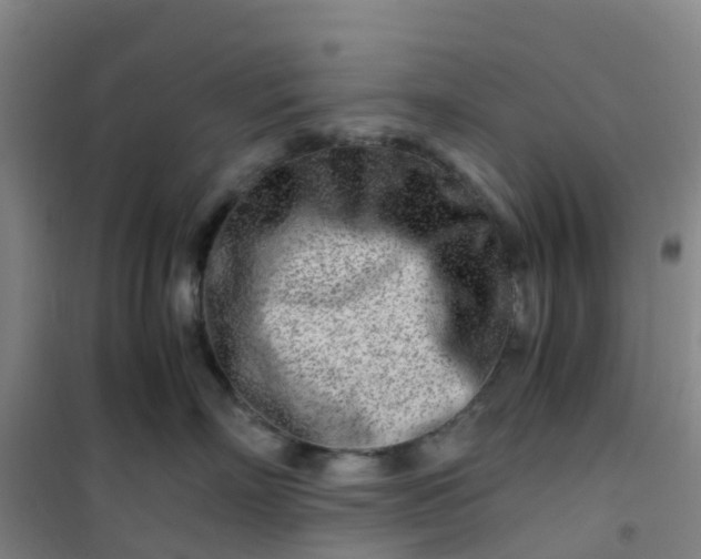 X0000101170718200807111052