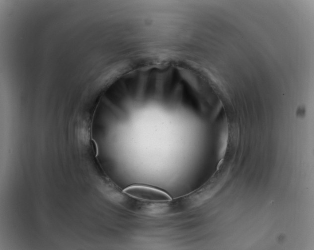 X0000101170719200807111052