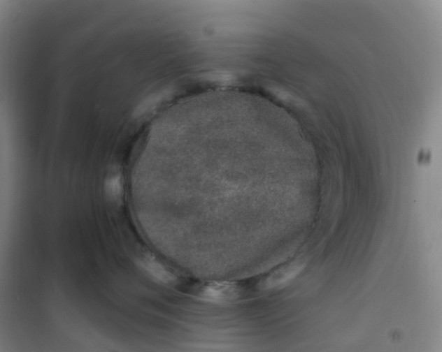X0000101170720200807111052