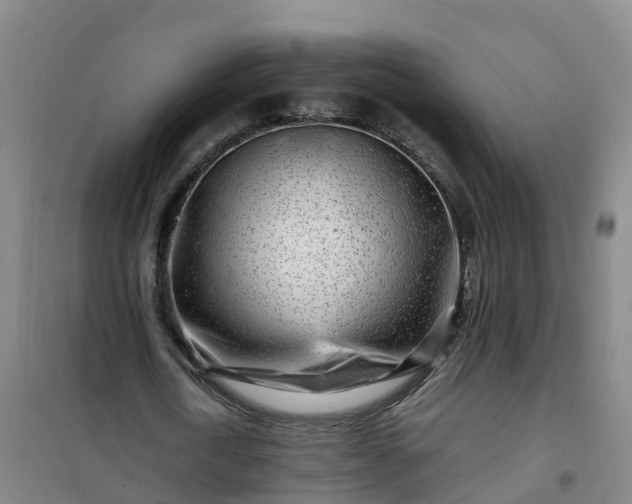 X0000101170722200807111051