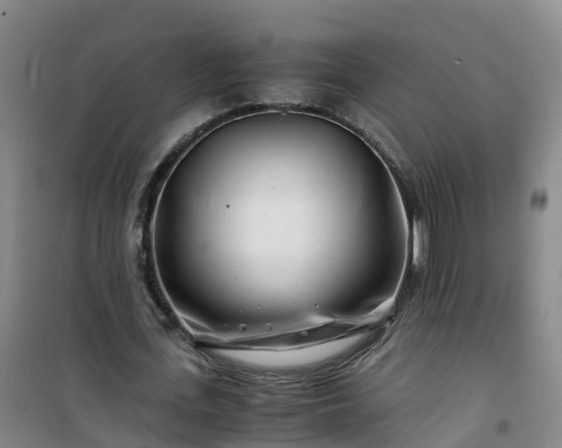 X0000101170723200807111051