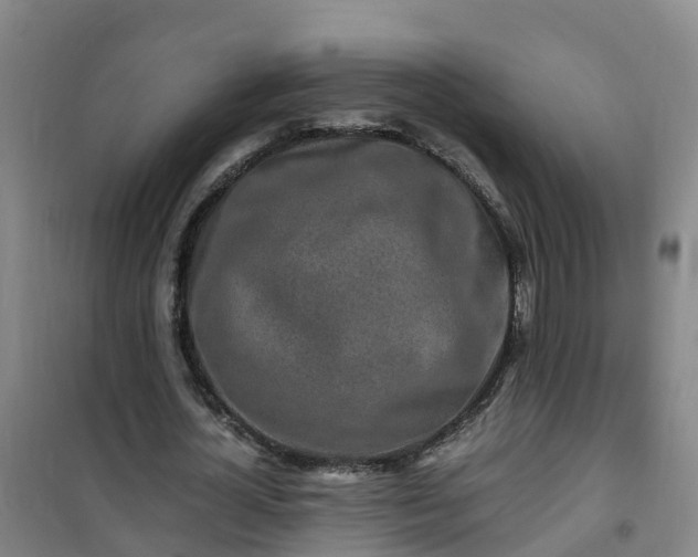 X0000101170724200807111051